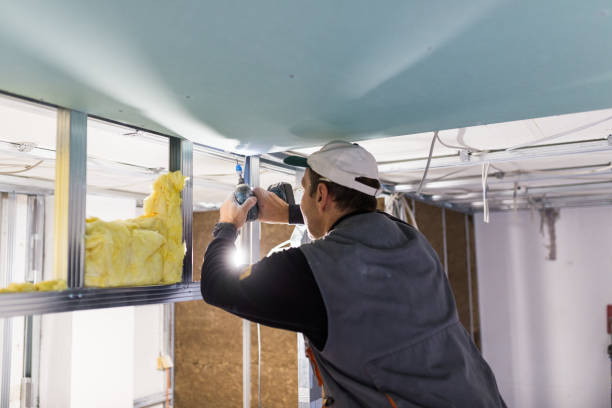 Types of Insulation We Offer in Gold River, CA