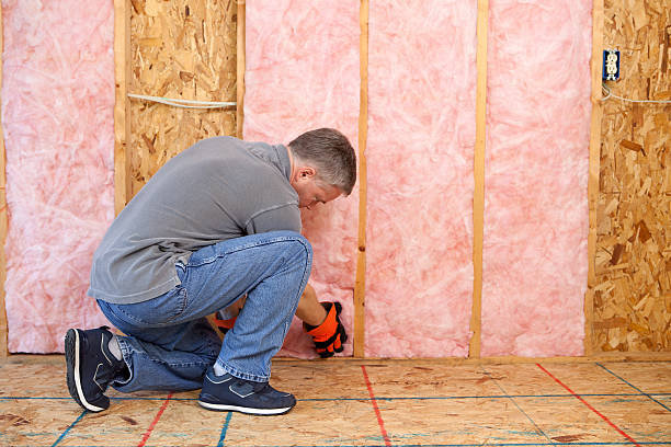 Best Insulation Maintenance and Repair in Gold River, CA