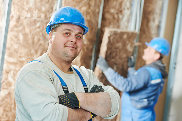 Best Eco-Friendly Insulation in Gold River, CA